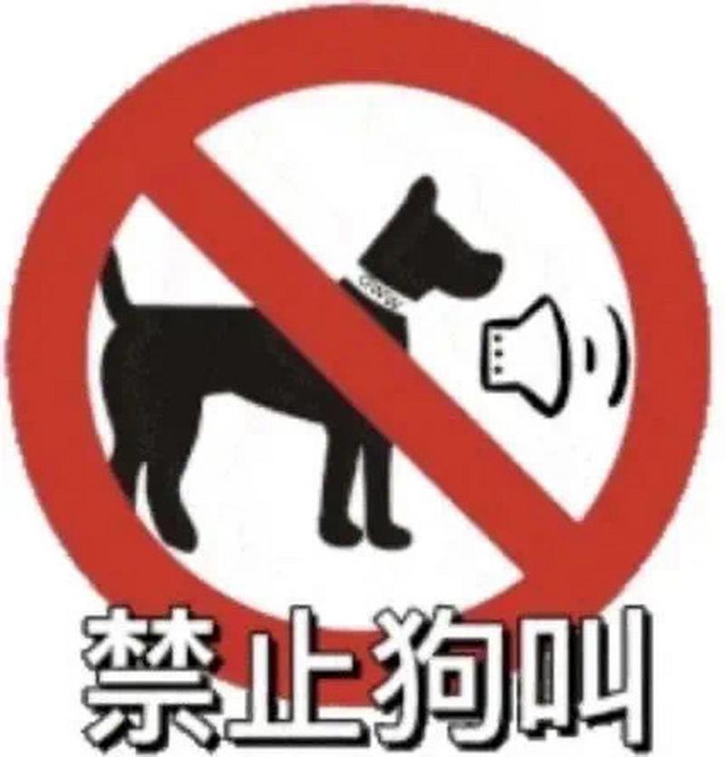 别呼呼手机版下载截图