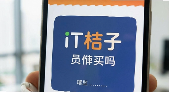 IT���ӻ�Աֵ������