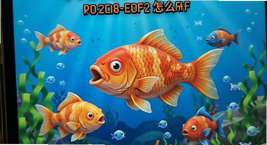 ��������ģ������װʧ��������ô��