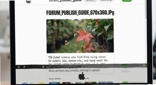 forum_publish_guide_670x360.jpg