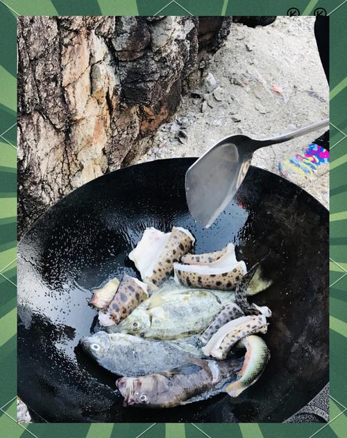 ˳�ĵ��ٷ������ؽ�ͼ