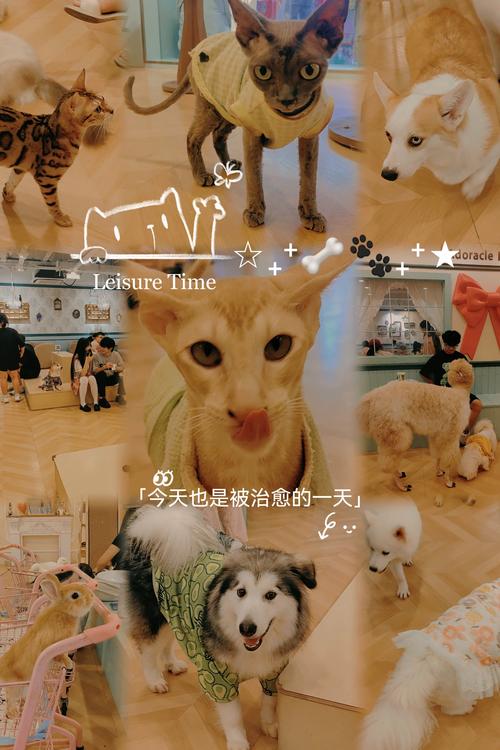 �ҳ�����1.0.1�ٷ������ؽ�ͼ