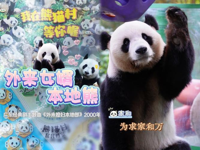 本地熊LocalBear官方下载截图