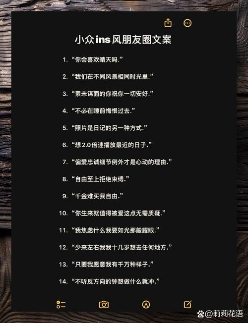 ˽��ȦSiYuQuan�ٷ����ؽ�ͼ