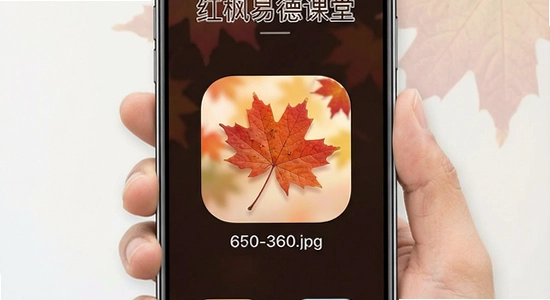 ����׵¿���app�����ͼ-670-360.jpg
