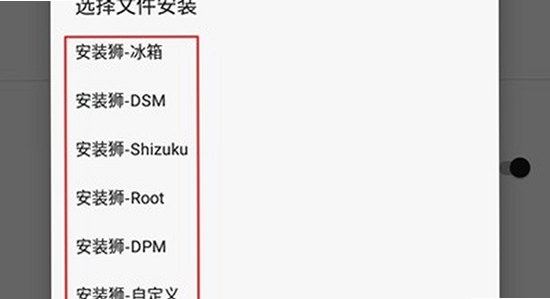 安装狮 官方下载页面 版本选择 截图