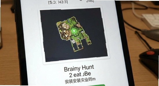 Brainy Hunt��װʧ����ô��