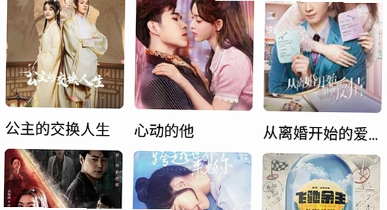 叶子影视官方正版安装完成打开界面 影视播放 无报错
