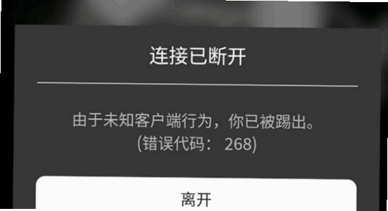 roblox国际服2026最新版本下载,roblox启动报错排查示意图
