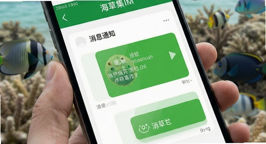 ���ݼ�IM��Ϣ֪ͨ����