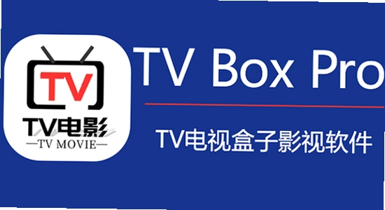 TV Box Pro电视版最新版本下载 设置界面,电视盒子系统设置配图