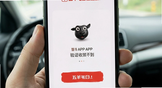 ������APP��֤���ղ����������