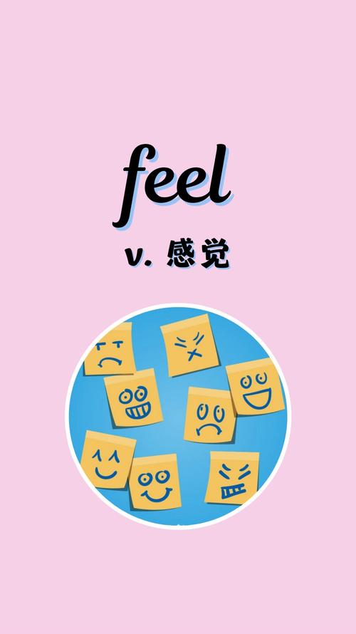 Feel���ܹٷ�������v3.0.1 ������¼