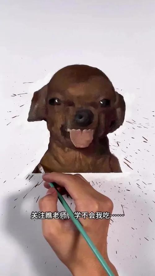 ������ٷ������ؽ�ͼ