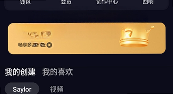 saylo复活版 安装界面自定义选项示意图,无水印