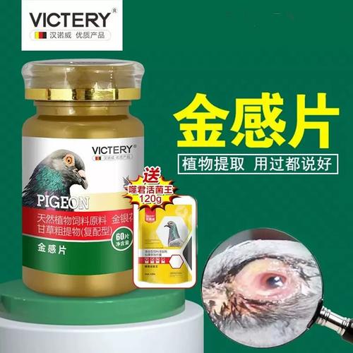 Ʒ��com.pinhoop.pinhoop�ٷ�������v1.4.2 �ٷ�����