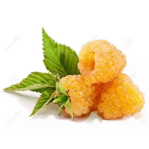 ֻ��app�ٷ�������v2.3.2 �ٷ�����