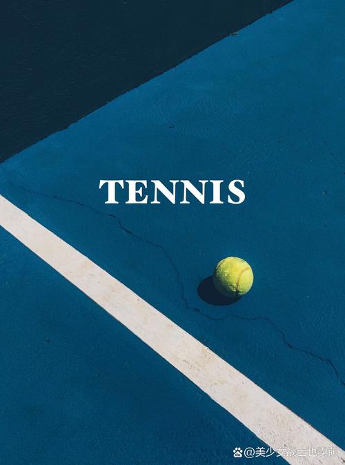 ��������Netcast Tennisapp����v1.5.5 �ٷ�����