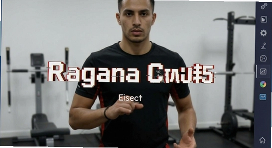 ��׿ģ������װRagana���������˽������