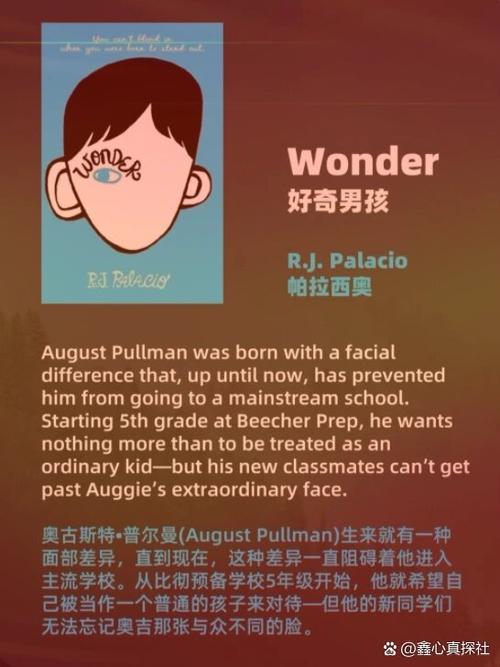 PaperWonder�ٷ�������v1.3.5 �ֻ涯������