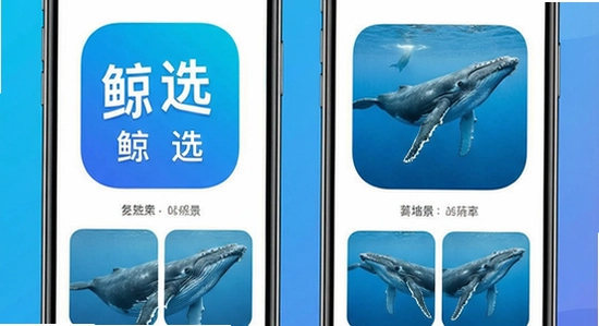 ��ѡapp�ೡ��ʹ��չʾͼ