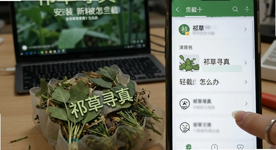 祁草寻真安装被拦截怎么办