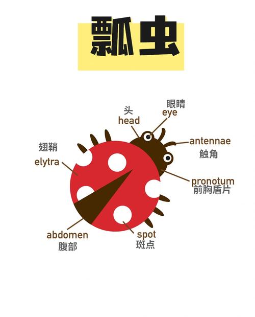 ư�����ٷ�������v2.8.0.2 Ȥζ�³���