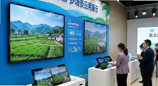 云上新蔡多场景应用展示