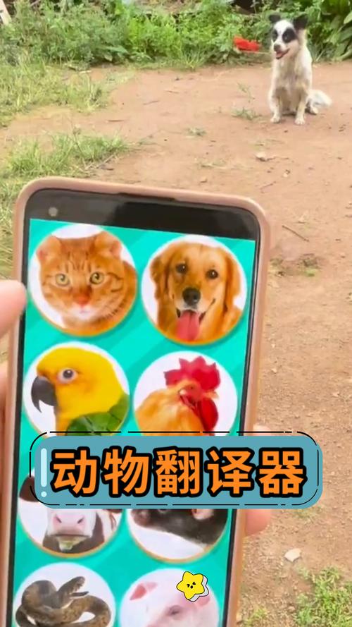 ���﷭��ҹٷ������ؽ�ͼ