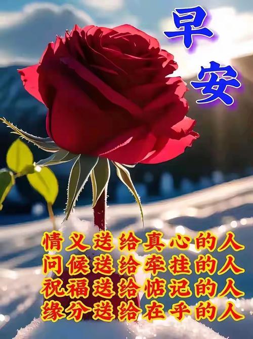 ƽ���ֽ���app���ؽ�ͼ