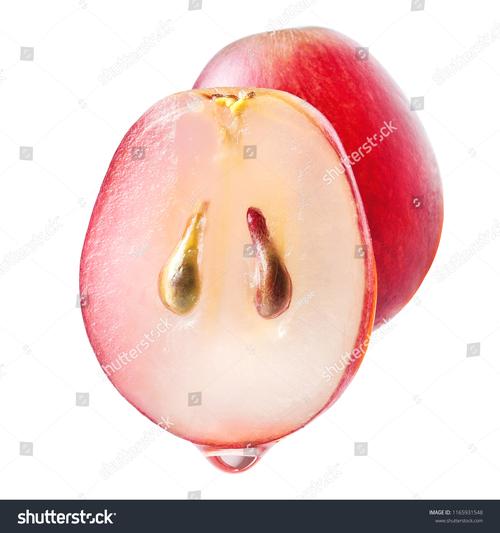 GrapeSEED CN�ٷ������ؽ�ͼ