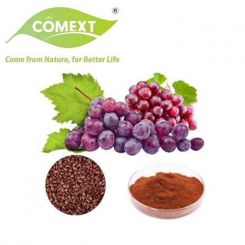 GrapeSEED CN�ٷ������ؽ�ͼ