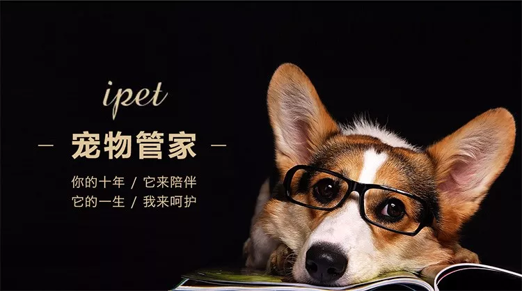 ����ܼ�app���ؽ�ͼ