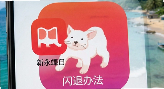 ������app���˽���취