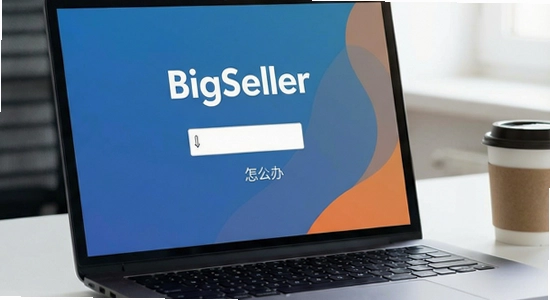 BigSeller��װ���޷���¼��ô��