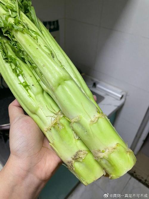С���app�ٷ����ؽ�ͼ
