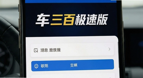 �����ټ��ٰ泵����Ϣ��ѯ����չʾ