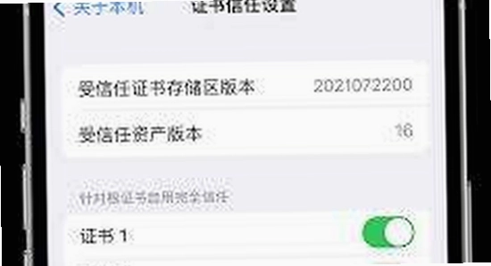 蜜桃动漫app官方下载 苹果手机 信任证书设置界面 截图