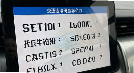 ��ͨΥ������鲻����ô��
