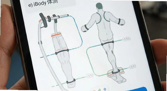 InBody体测数据界面展示
