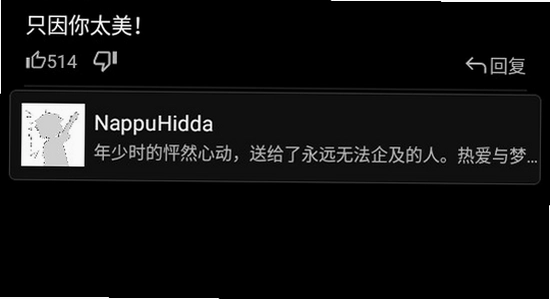 哔哩终端手表版下载官方正版 手表播放B站视频画面 色彩丰富 无水印 宣传图