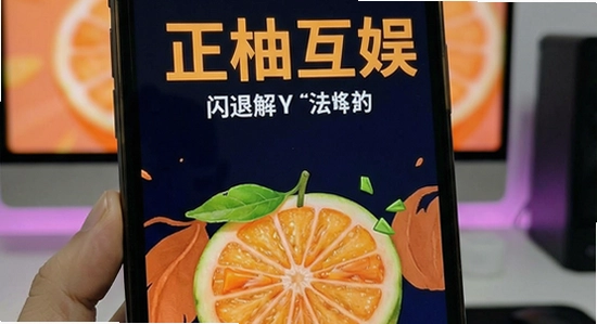 ���ֻ������˽������
