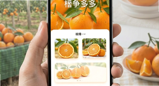 670*360���Ӷ��������չʾ