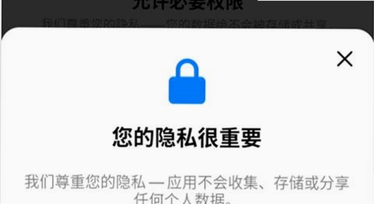 灵动岛Pro解锁版vip版下载 权限设置界面,手机悬浮窗权限设置截图 无水印