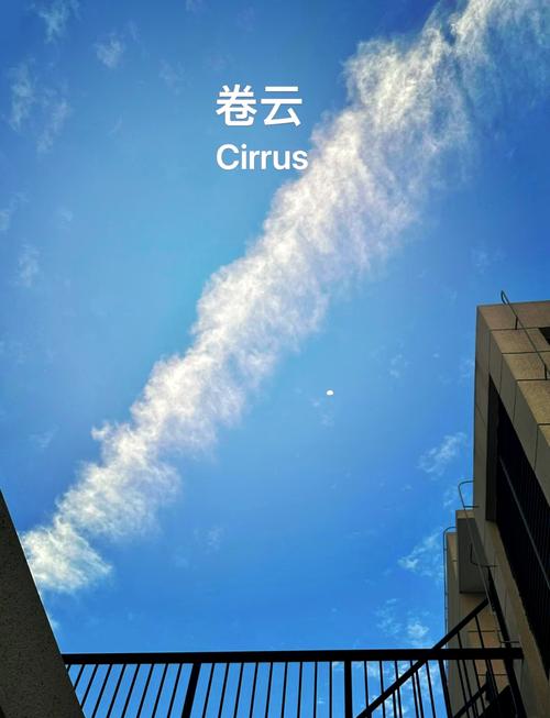 �����ƹٷ�������v1.1.5 �ٷ�����
