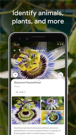�ȸ�ʶͼapp�ٷ�����2026���°�(Goggles)v1.9.4 ��׿��