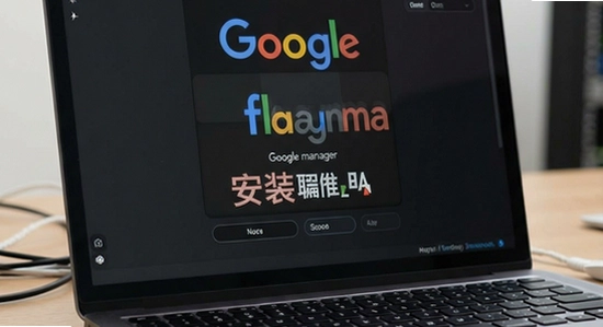 flamma manager ��װʧ�� �ȸ���
