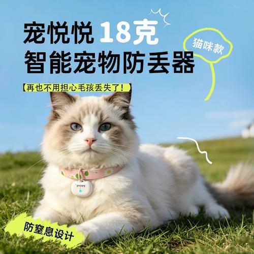 �����ùٷ�������v3.0.3 ��������