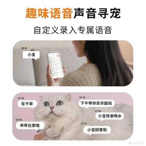 �����ùٷ�������v3.0.3 ��������
