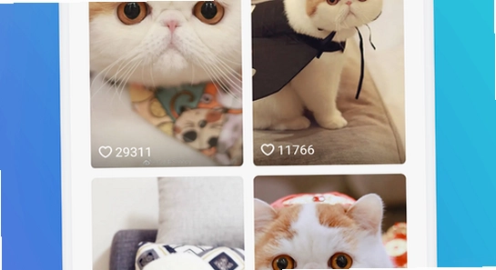 猫盒社区正版下载页面选择安装包,色彩丰富无水印宣传图